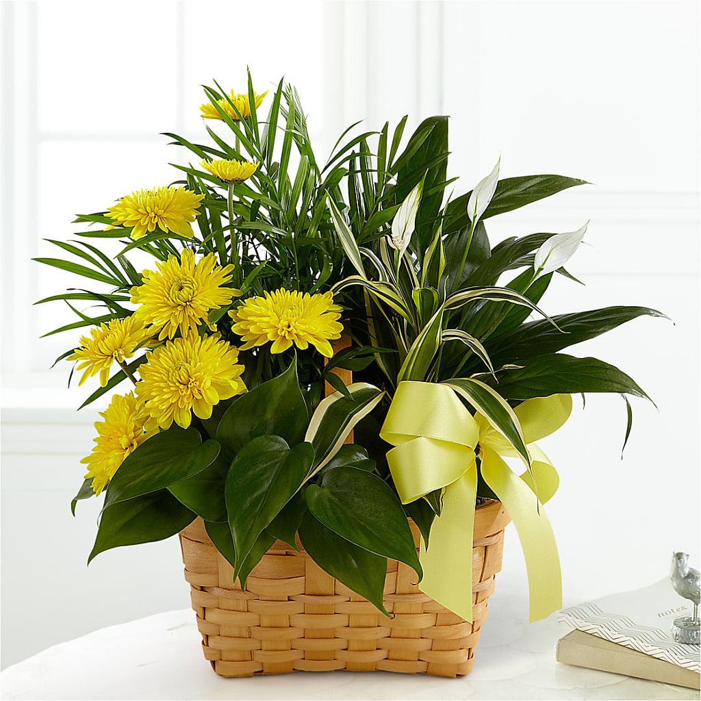 Loving Light Dishgarden – FLEUR D'AMOUR, Huntersville NC