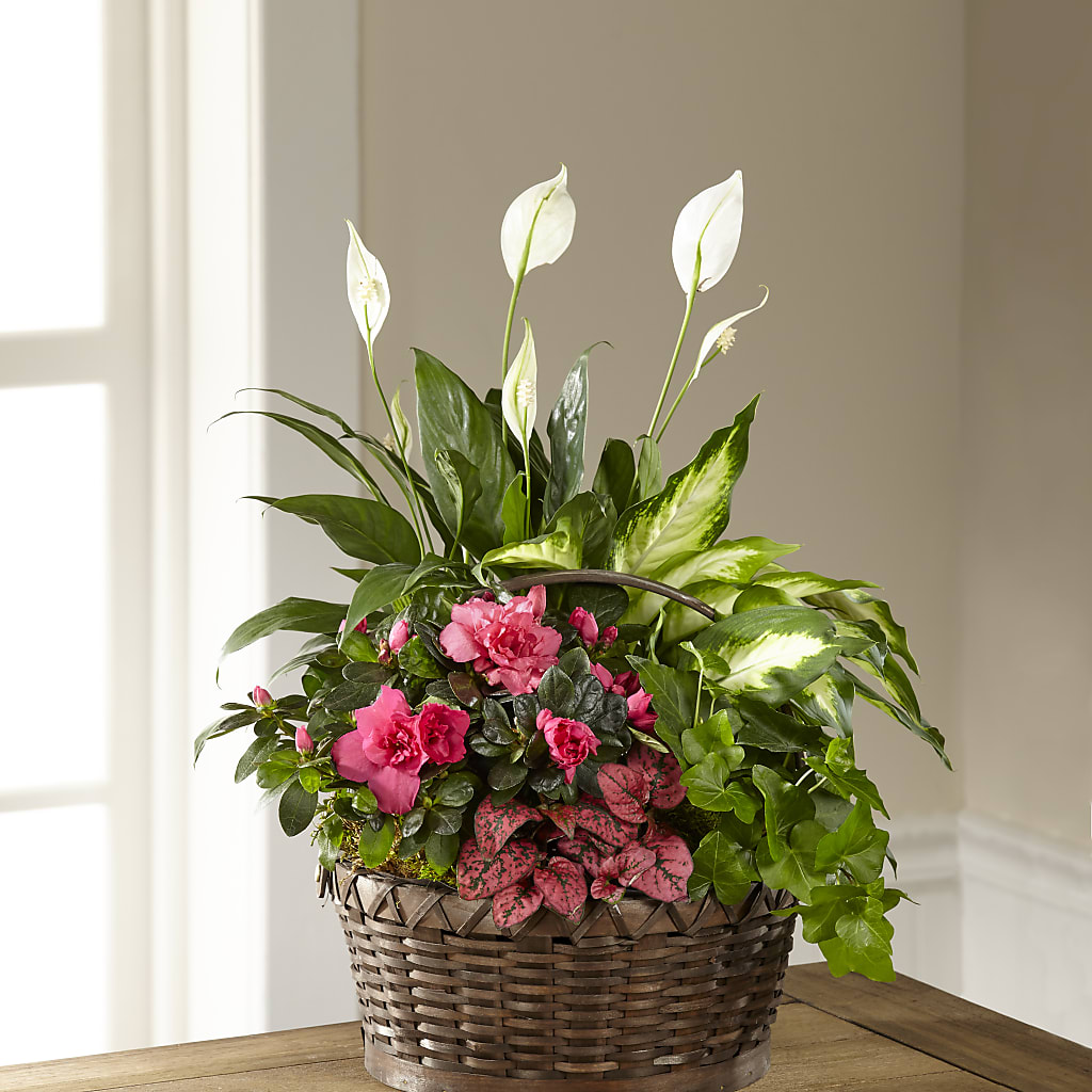Dream in Pink Dishgarden – FLEUR D'AMOUR, Huntersville NC