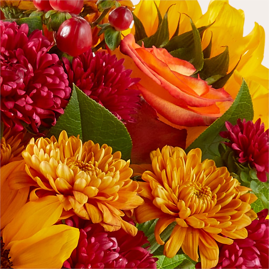 Sweater Season - A Florist Original – FLEUR D'AMOUR, Huntersville NC
