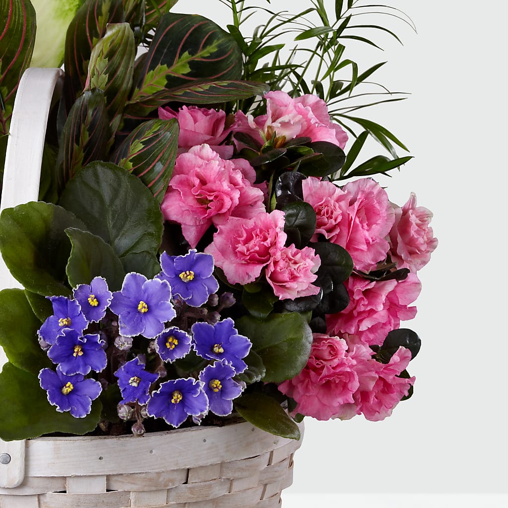 Peaceful Garden Planter – FLEUR D'AMOUR, Huntersville NC