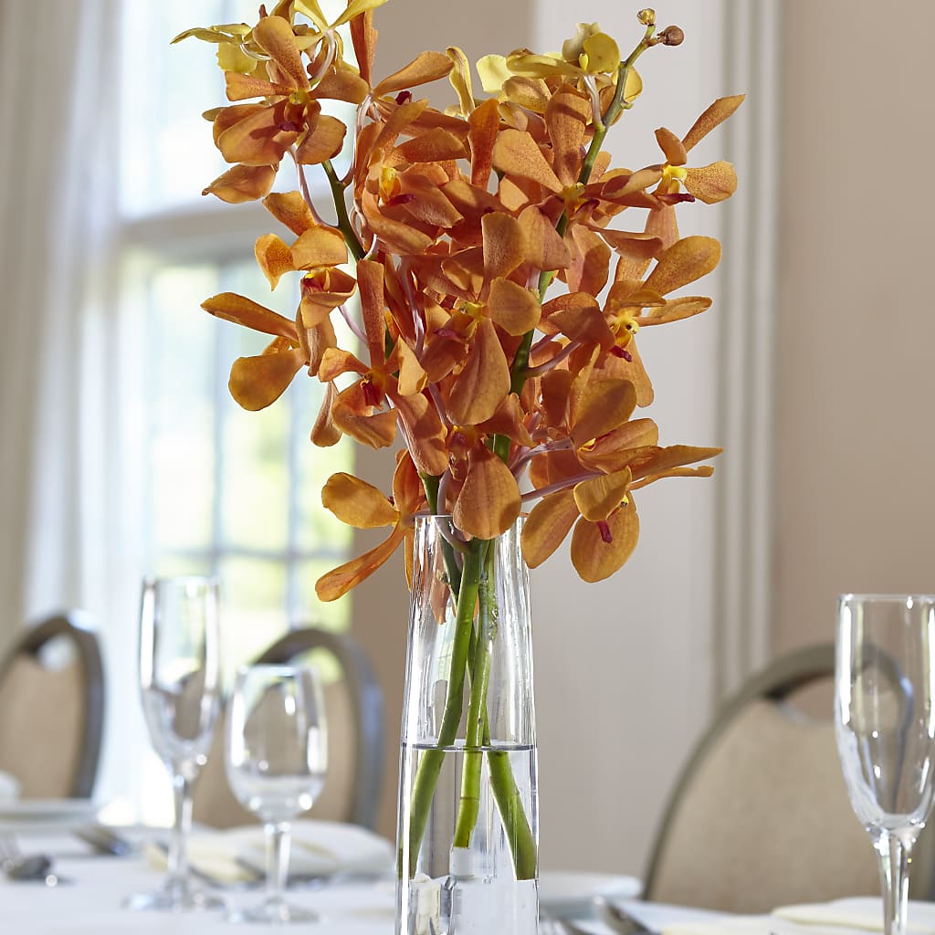 Orange Mokara Bud Vase – FLEUR D'AMOUR, Huntersville NC