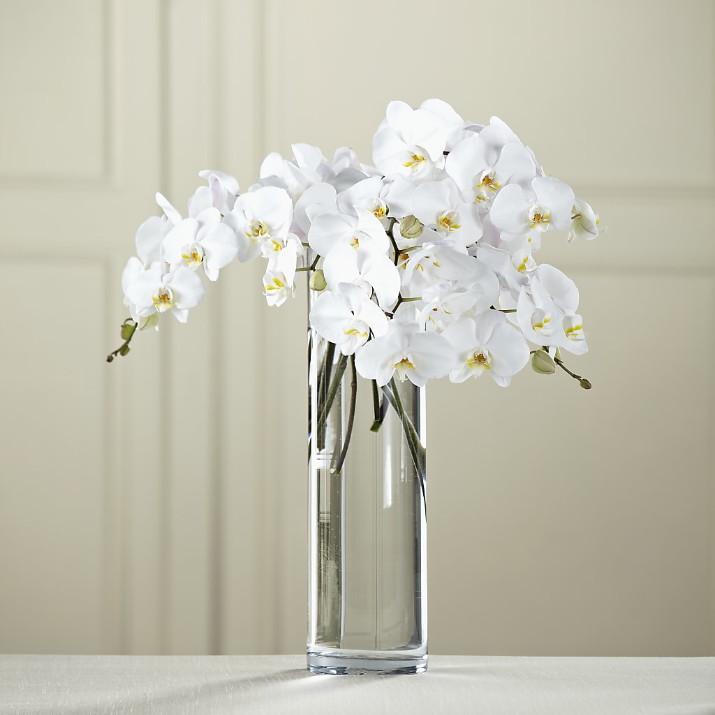 White Phalaenopsis Bouquet – FLEUR D'AMOUR, Huntersville NC