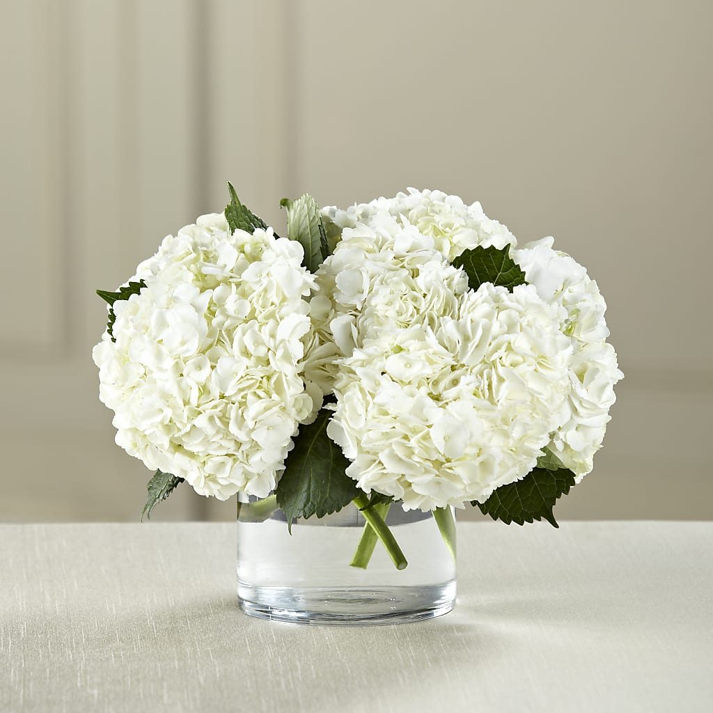 White Hydrangea Bouquet – FLEUR D'AMOUR, Huntersville NC