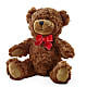 Adorable Plush Bear – FLEUR D'AMOUR, Huntersville NC