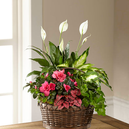 Dream in Pink Dishgarden – FLEUR D'AMOUR, Huntersville NC