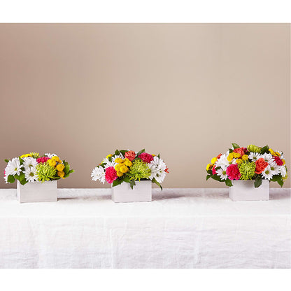 Sorbet Bouquet – FLEUR D'AMOUR, Huntersville NC
