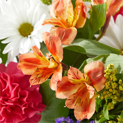 Oopsie Daisy Box Bouquet – FLEUR D'AMOUR, Huntersville NC
