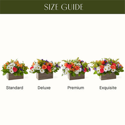 Oopsie Daisy Box Bouquet – FLEUR D'AMOUR, Huntersville NC