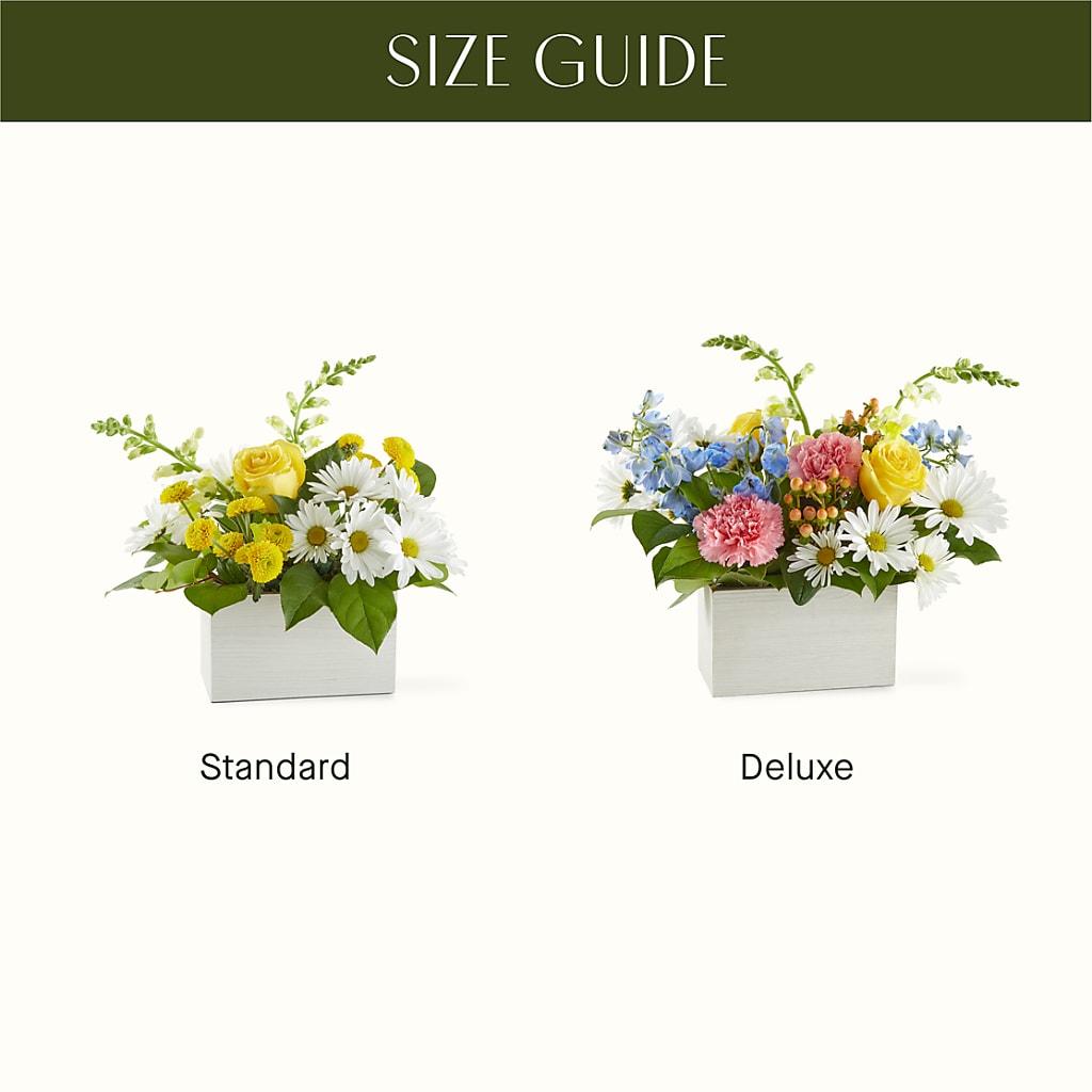 Sun Salutation Box Bouquet – FLEUR D'AMOUR, Huntersville NC