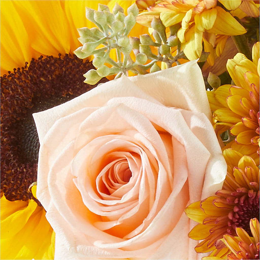 Pumpkin to Talk About Bouquet – FLEUR D'AMOUR, Huntersville NC