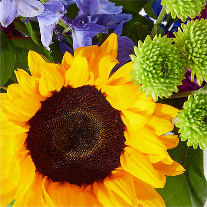 Catching Rays Bouquet – FLEUR D'AMOUR, Huntersville NC