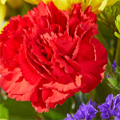 Brighter Days Bouquet – FLEUR D'AMOUR, Huntersville NC