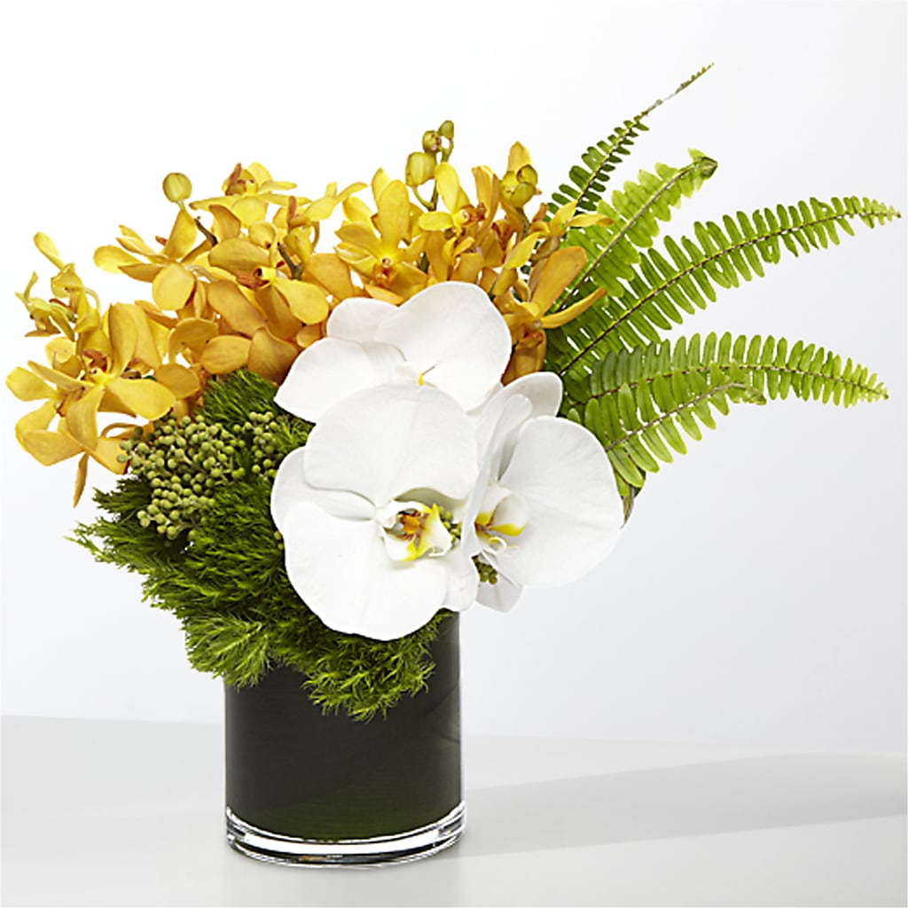 The Tropics – FLEUR D'AMOUR, Huntersville NC