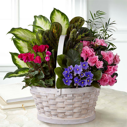 Peaceful Garden Planter – FLEUR D'AMOUR, Huntersville NC