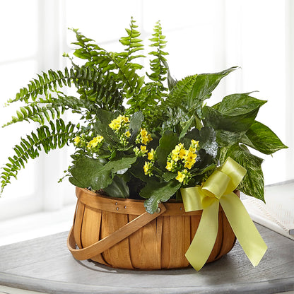 Always Dear Dishgarden – FLEUR D'AMOUR, Huntersville NC