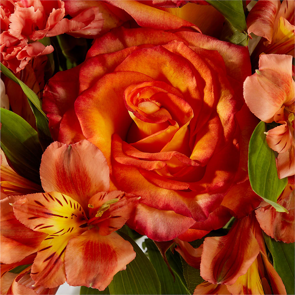 Apricot Glow Bouquet – FLEUR D'AMOUR, Huntersville NC