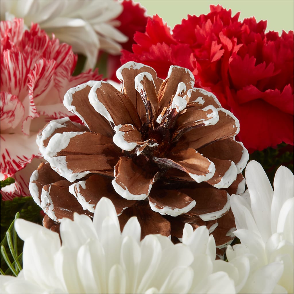 Candy Cane Lane Bouquet – FLEUR D'AMOUR, Huntersville NC