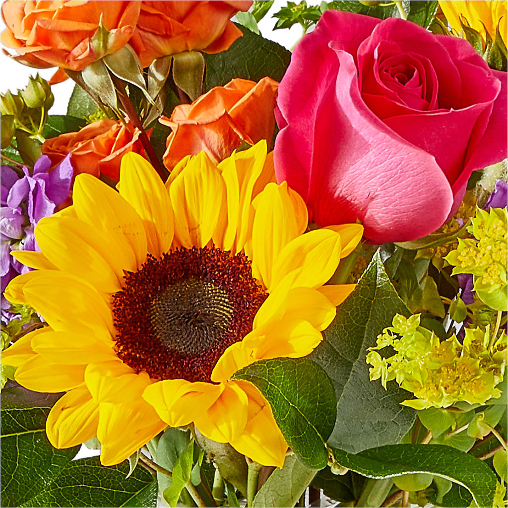 Vibrant Greetings Bouquet – FLEUR D'AMOUR, Huntersville NC