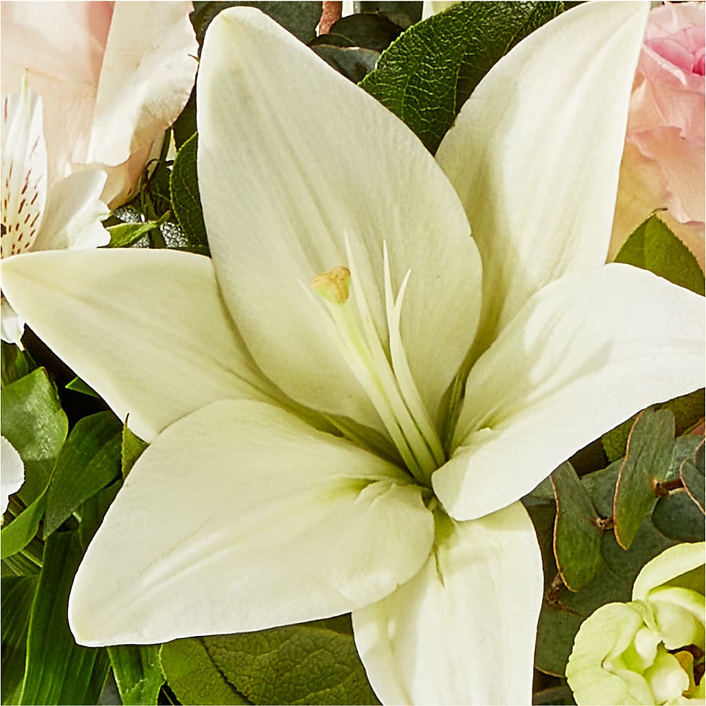 Ballet Slippers Bouquet – FLEUR D'AMOUR, Huntersville NC