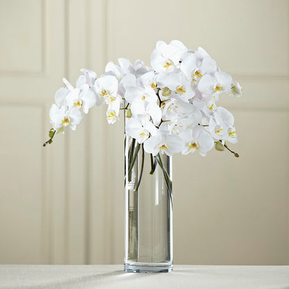 White Phalaenopsis Bouquet – FLEUR D'AMOUR, Huntersville NC