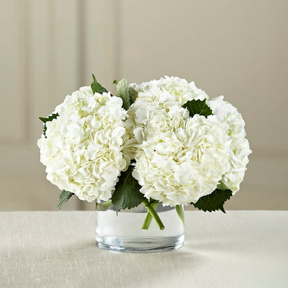 White Hydrangea Bouquet – FLEUR D'AMOUR, Huntersville NC